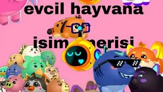 PK XD de evcil hayvan isim önerisi