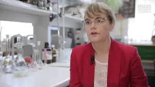 Pestki dyni. Zdrowy i tani skarb [Specjalista radzi]