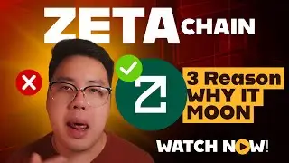 ZETACHAIN - 3 Reason Why ZETA Rises 150% Today! (2024)