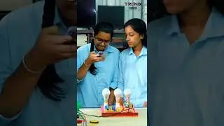 TRONIX365   Industrial Training Program  Internship  Basic to Advance  #industrialinternship