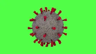 CORONA VIRUS 3D ANIMATION GREEN SCREEN