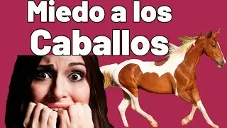 Como superar el miedo a los caballos o el miedo a montar a un caballo