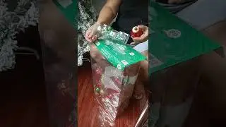 Christmas Tree set up sa bahay ni Mayora