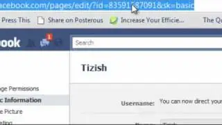 How to insert Facebook, Youtube, and Twitter widgets in your Tizish Wordpress Blog