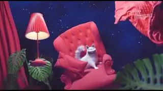 Заставка 