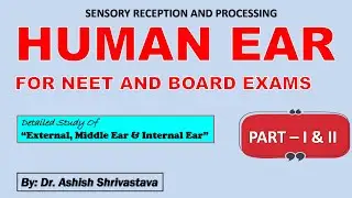 HUMAN EAR PART I & II | SENSORY RECEPTION AND PROCESSING | NEURAL CONTROL AND COORDINATION || NEET