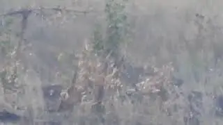 #Снайпер #ДНР ликвидировал #Укрофашиста