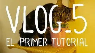 How to build a cat scratcher