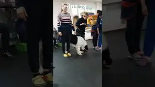 Тренинг по ноузворку