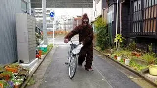 bigfoot spotted coming to our show