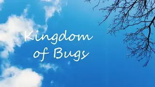 Kingdom of Bugs (2020)