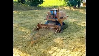 Krzychu bizonyje. Biadoliny Małopolska.
