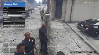 LSPDFR\LSPD ps4 director mode