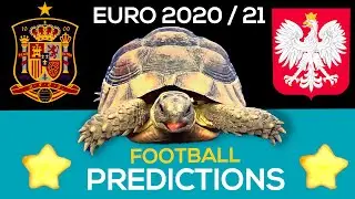 UEFA Euro 2020 ⚽ Football Prediction 2021 🐢 Spain vs Poland