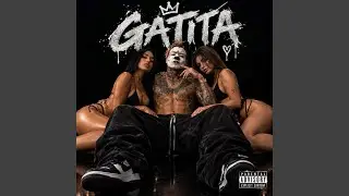 Gatita