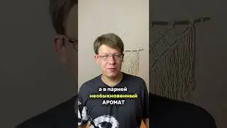 БАНЯ, В КОТОРОЙ МОЖНО ЖИТЬ! 👇