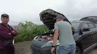 На зеленке ЦЕНЫ растут каждый день