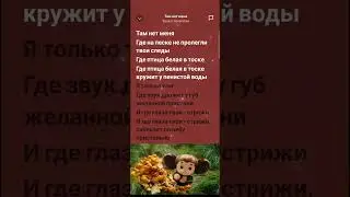 Там нет меня. Severa Nazarkhan. Севара Назархан. ЧЕБУРАШКА