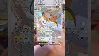 Distintos Raichu y sus Diferencias! 🤓