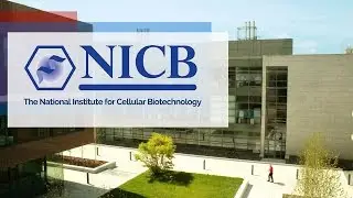 NICB: The National Institute for Cellular Biotechnology, DCU, Ireland