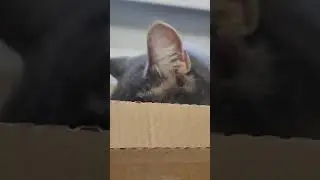 На позитиве😜 