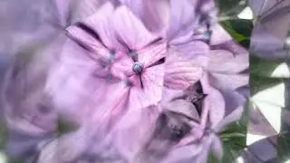Kaleidoscope Photography Shot on iPhone12 Pro Max