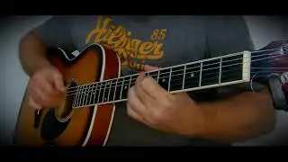 Божья коровка. Гранитный камушек. Кавер. Акустическая гитара.