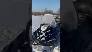 Тайга 500 ЧЕРНАЯ ПАНТЕРА