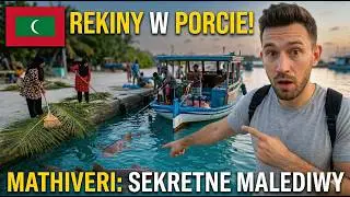 Everyday life on a LOCAL island... SHARKS in a fishing port?! || MALDIVES || Sunday Travels 