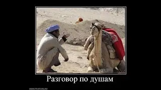 БАНКСТЕРНЕТ 29/06/2023