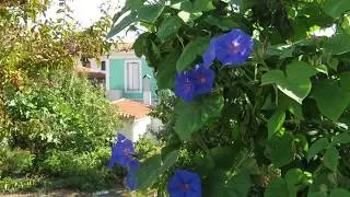 Agios Konstantinos and Manolates - Samos