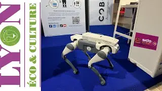 Sido Lyon - 10e édition avec Lyon Cyber Expo et Impact : reportage