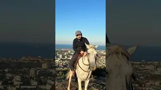 Нашид в лесу на лошади 