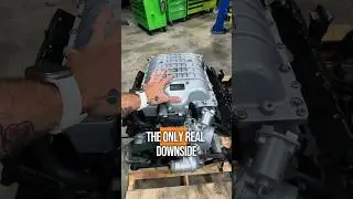 You taking the LS9, Redeye or Predator!?