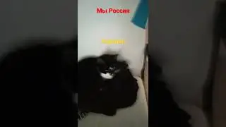 #мем #прикол