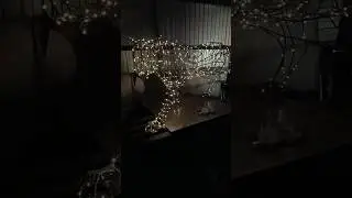 хищная кошка