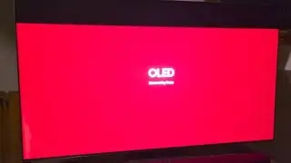 Samsung S95B Red Screen of Death bootloop