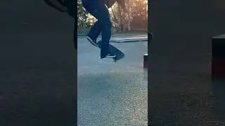 ARASTA SKEITTARI!? 🛹
