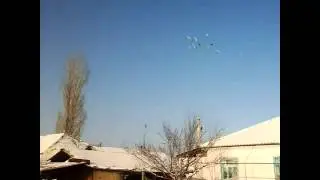 голуби тараз сарыкемер