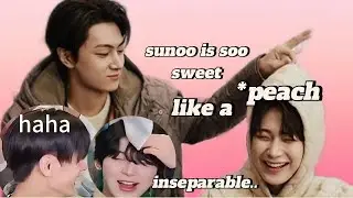 don't put sunoo and jay in one room || sunjay moments