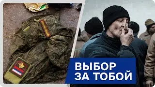 Лучше синица в руке, чем журавль в небе