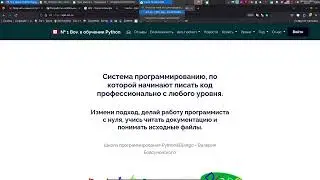 Даст надежду на результат, такой подход к программированию Python, Dart.