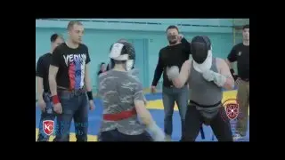 Кубок единоборств 