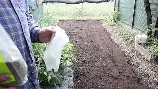 semina sovescio autunnale
