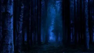 SOM ASSUSTADOR  ARREPIANTE EFEITOS SONOROS 🔊 SCARY SOUND SOUND EFFECTS