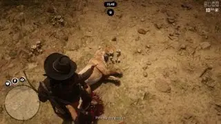 Mushroom dance