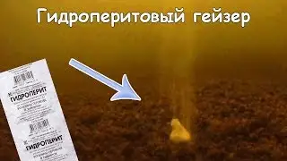 Не показывай это видео рыбакам 😱. Реакция рыбы на гидроперит,перекись водорода.