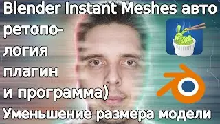 Blender Instant Meshes automatic retopology (plugin and program). Reducing the size of the model