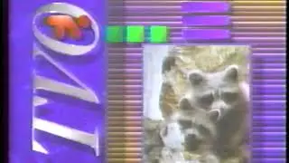 TVOntario Raccoon Bumper (90's)