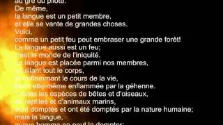 ▶ La Bible - Epitre de Jacques - La langue aussi est un feu ; c'est le monde de l'iniquité